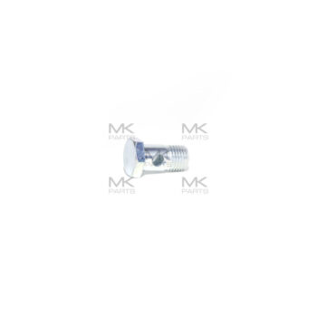 25167 - Hollow screw