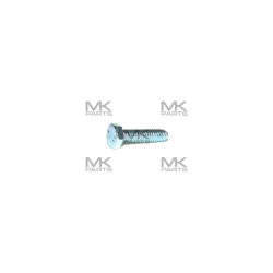 Hexagon screw - 11V13424