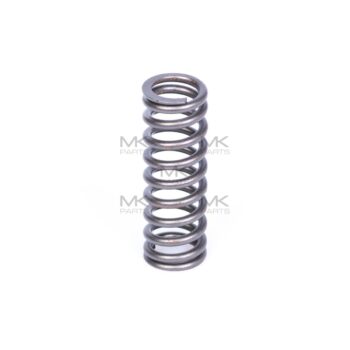 Valve spring - 1543870