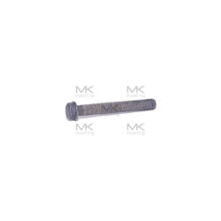 Flange screw - 11V68738