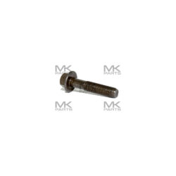 Screw - 11V71555