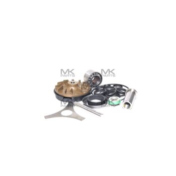 Water pump kit – 275625, 276053, 276054, 276803, 276804, 276835, 276942, 276943, 85107763