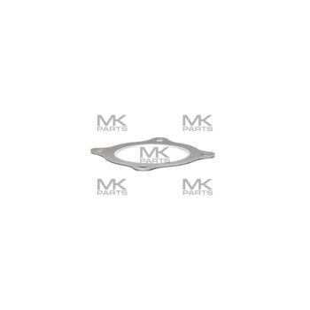 Gasket - 424631