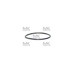 O-ring - 243299