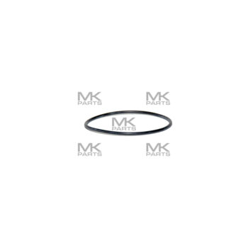 O-ring - 243299
