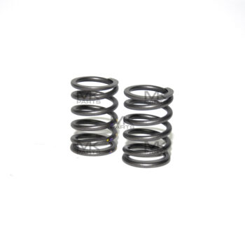Spring - valve outer - 21M1020149