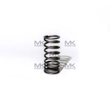 Spring - valve inner - 21M1020150