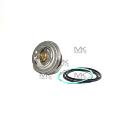 Thermostat - 21M4020061