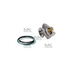 Thermostat - 21M4020063
